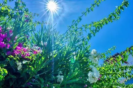 Joya Cyprus Sapphire Garden Дом отдыха Agios Amvrosios (Kyrenia)